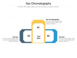 Gas chromatography ppt powerpoint presentation gallery slide portrait cpb