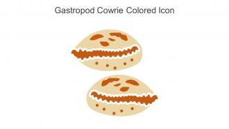 Gastropod Cowrie Colored Icon In Powerpoint Pptx Png And Editable Eps Format