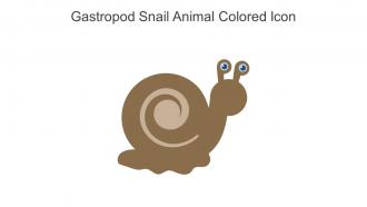 Gastropod Snail Animal Colored Icon In Powerpoint Pptx Png And Editable Eps Format