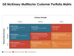 Ge mckinsey multifactor customer portfolio matrix