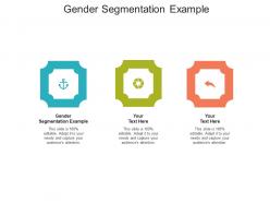 Gender segmentation example ppt powerpoint presentation model slides cpb
