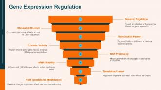 Gene Expression Regulation Nucleus Genome PPT Presentation ACP