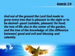 Genesis 2 9 the knowledge of good powerpoint church sermon