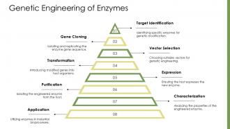 Genetic Engineering Of Enzymes PPT Information ACP