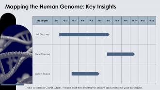 Genetic Etiology PPT Graphics ACP Multipurpose Impactful