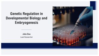 Genetic Regulation In Developmental Biology And Embryogenesis PPT Example AT