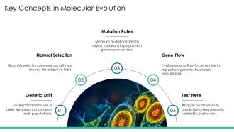 Genetic Variation And Population Genetics PPT Mockup AT Pre-designed Graphical