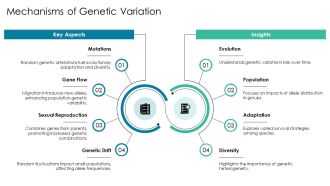Genetic Variation And Population Genetics PPT Mockup AT Slides Captivating