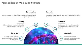 Genetic Variation And Population Genetics PPT Mockup AT Editable Captivating