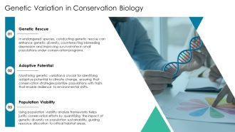 Genetic Variation And Population Genetics PPT Mockup AT Impactful Captivating