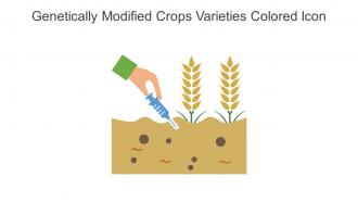 Genetically Modified Crops Varieties Colored Icon In Powerpoint Pptx Png And Editable Eps Format