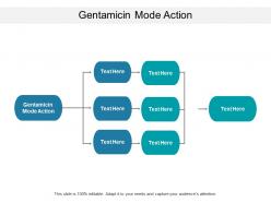 Gentamicin mode action ppt powerpoint presentation layouts graphics pictures cpb