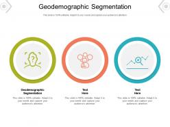 Geodemographic segmentation ppt powerpoint presentation icon samples cpb