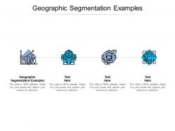 Geographic segmentation examples ppt powerpoint presentation infographics slides cpb