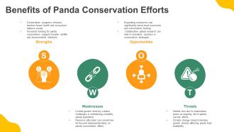 Giant Pandas Threats And Survival Challenges PPT Presentation AT Captivating Aesthatic