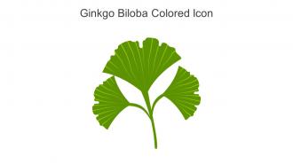 Ginkgo Biloba Colored Icon In Powerpoint Pptx Png And Editable Eps Format