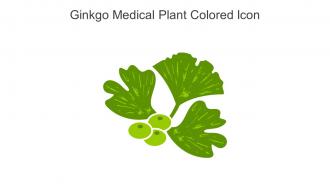 Ginkgo Medical Plant Colored Icon In Powerpoint Pptx Png And Editable Eps Format