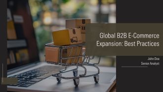 Global B2B E Commerce Expansion Best Practices PPT Outline AT