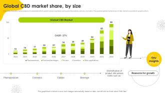 Global CBD Market Share By Size