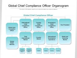 Global chief compliance officer organogram