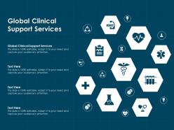 Global clinical support services ppt powerpoint presentation summary icon