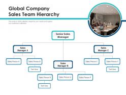 Global company sales team hierarchy