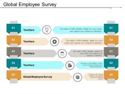 Global employee survey ppt powerpoint presentation infographics guidelines cpb
