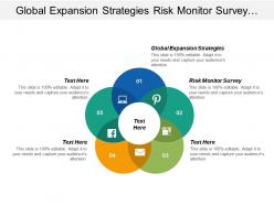 Global expansion strategies risk monitor survey internet network cpb