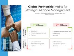 Global Partnership Matrix For Strategic Alliance Management
