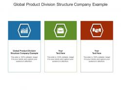 Global product division structure company example ppt powerpoint presentation infographic template cpb