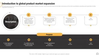Global Product Expansion Strategy Development Process Powerpoint Presentation Slides Images Ideas