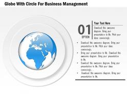 Globe with circles for business management ppt presentation slides