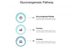 Gluconeogenesis pathway ppt powerpoint presentation summary templates cpb