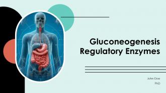 Gluconeogenesis Regulatory Enzymes PPT Guidelines ACP