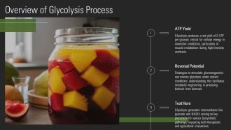 Glycolysis Steps Explained In Detail PPT Slides AT Best Impressive