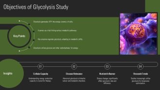 Glycolysis Steps Explained In Detail PPT Slides AT Good Impressive