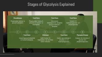 Glycolysis Steps Explained In Detail PPT Slides AT Content Ready Impressive