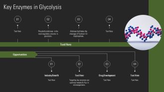Glycolysis Steps Explained In Detail PPT Slides AT Editable Impressive