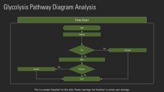 Glycolysis Steps Explained In Detail PPT Slides AT Downloadable Impressive
