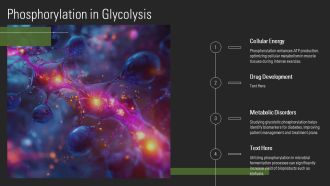 Glycolysis Steps Explained In Detail PPT Slides AT Customizable Impressive