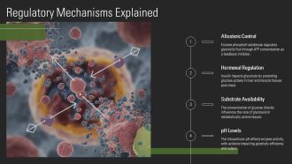 Glycolysis Steps Explained In Detail PPT Slides AT Researched Impressive