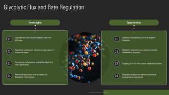 Glycolysis Steps Explained In Detail PPT Slides AT Professional Impressive