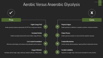 Glycolysis Steps Explained In Detail PPT Slides AT Interactive Impressive