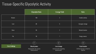 Glycolysis Steps Explained In Detail PPT Slides AT Visual Impressive