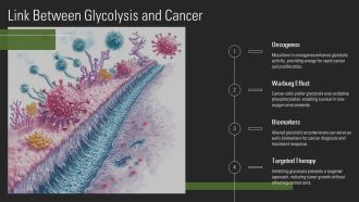 Glycolysis Steps Explained In Detail PPT Slides AT Analytical Impressive