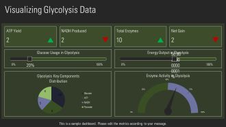 Glycolysis Steps Explained In Detail PPT Slides AT Engaging Impressive