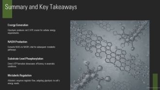 Glycolysis Steps Explained In Detail PPT Slides AT Pre-designed Impressive