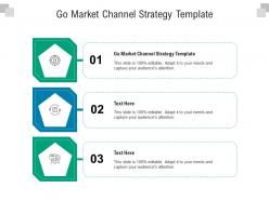 Go market channel strategy template ppt powerpoint presentation icon rules cpb