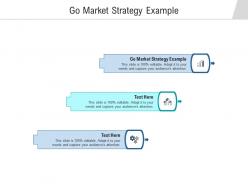 Go market strategy example ppt powerpoint presentation portfolio information cpb
