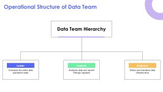 Goal Data Operations Team Overview Presentation PPT Outline AT Captivating Attractive